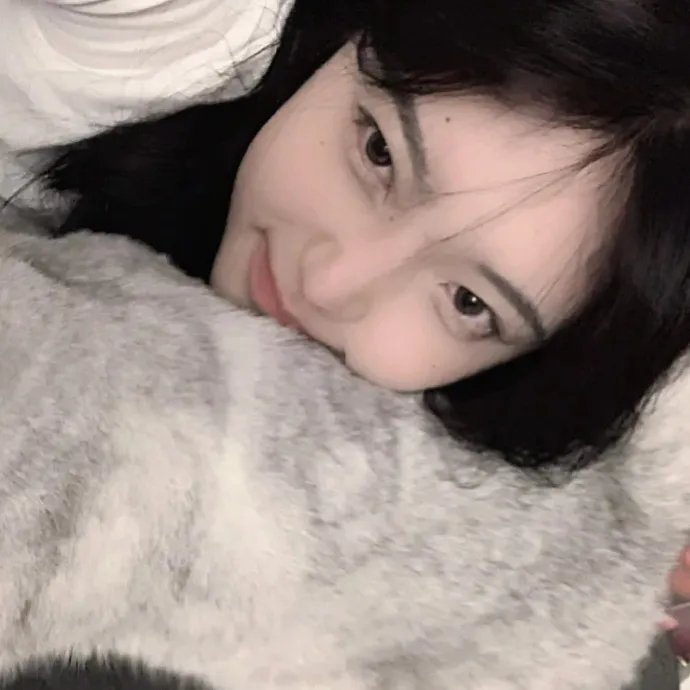 群鸟东径